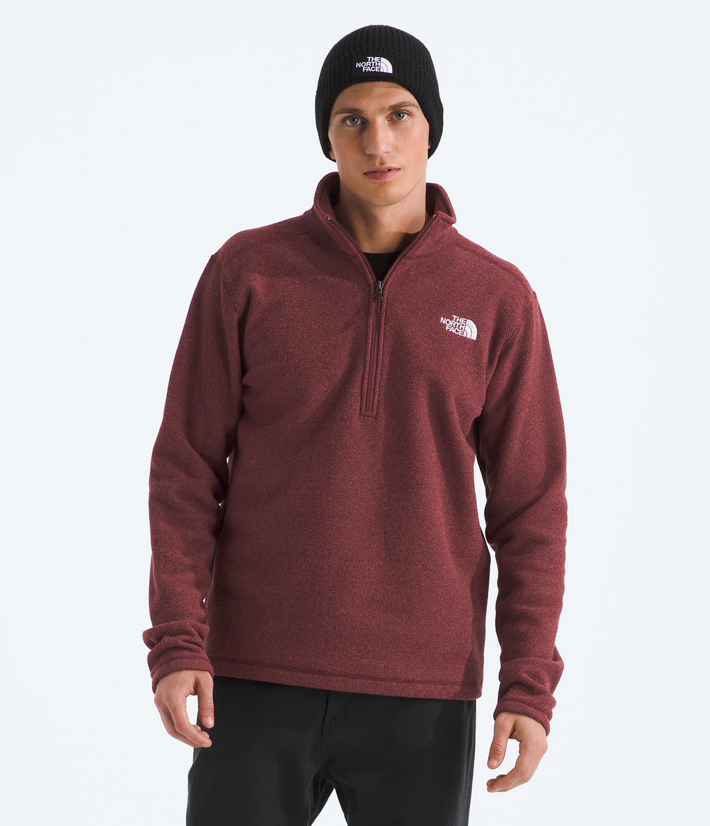 Poleron Evo Half Dome Mtn Hoodie- Graphic Hombre