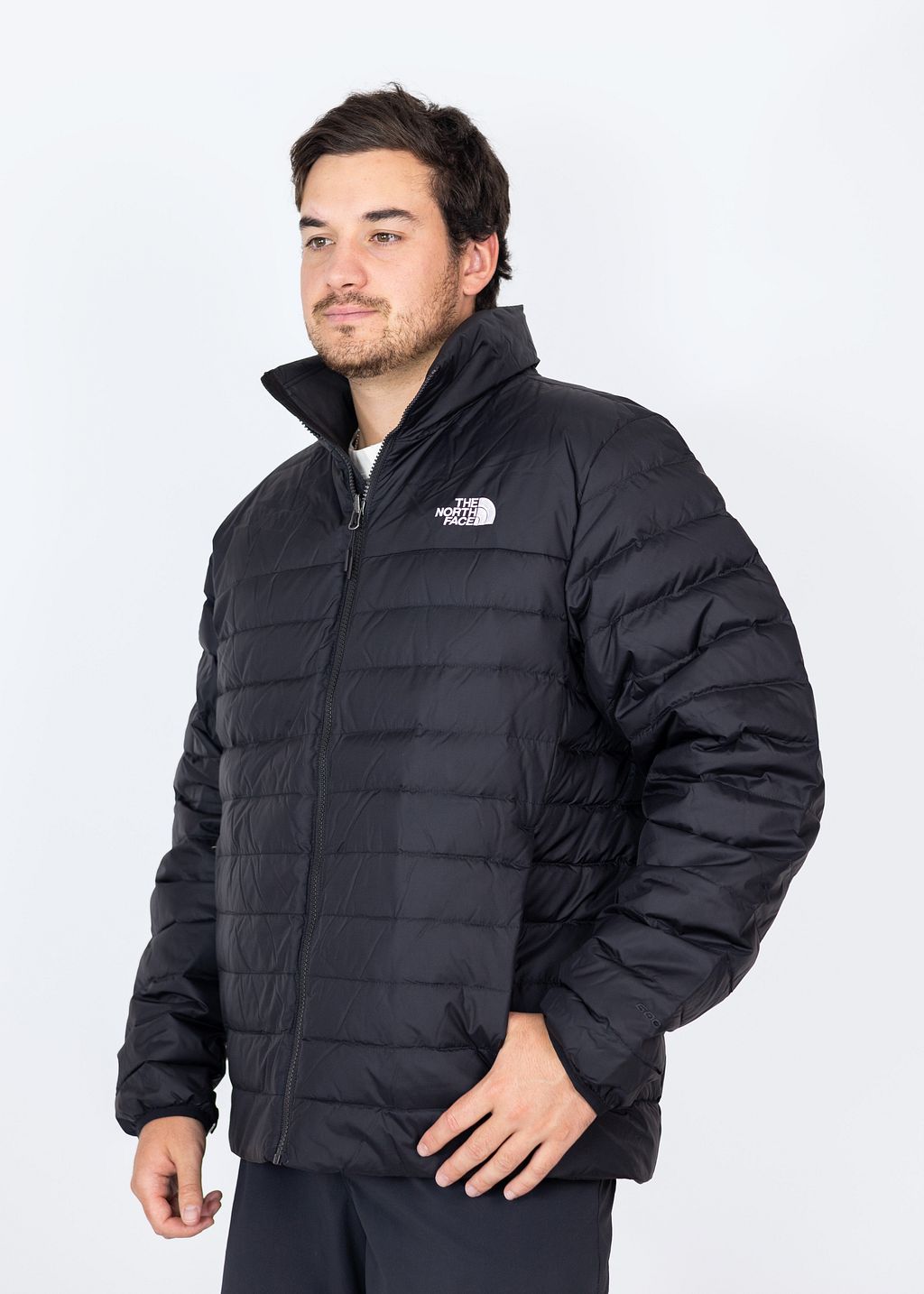 Poleron Evo Half Dome Mtn Hoodie- Graphic Hombre