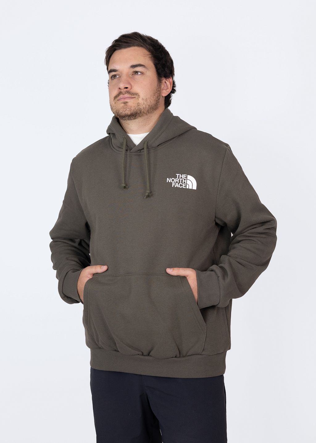 Poleron Evo Half Dome Mtn Hoodie- Graphic Hombre