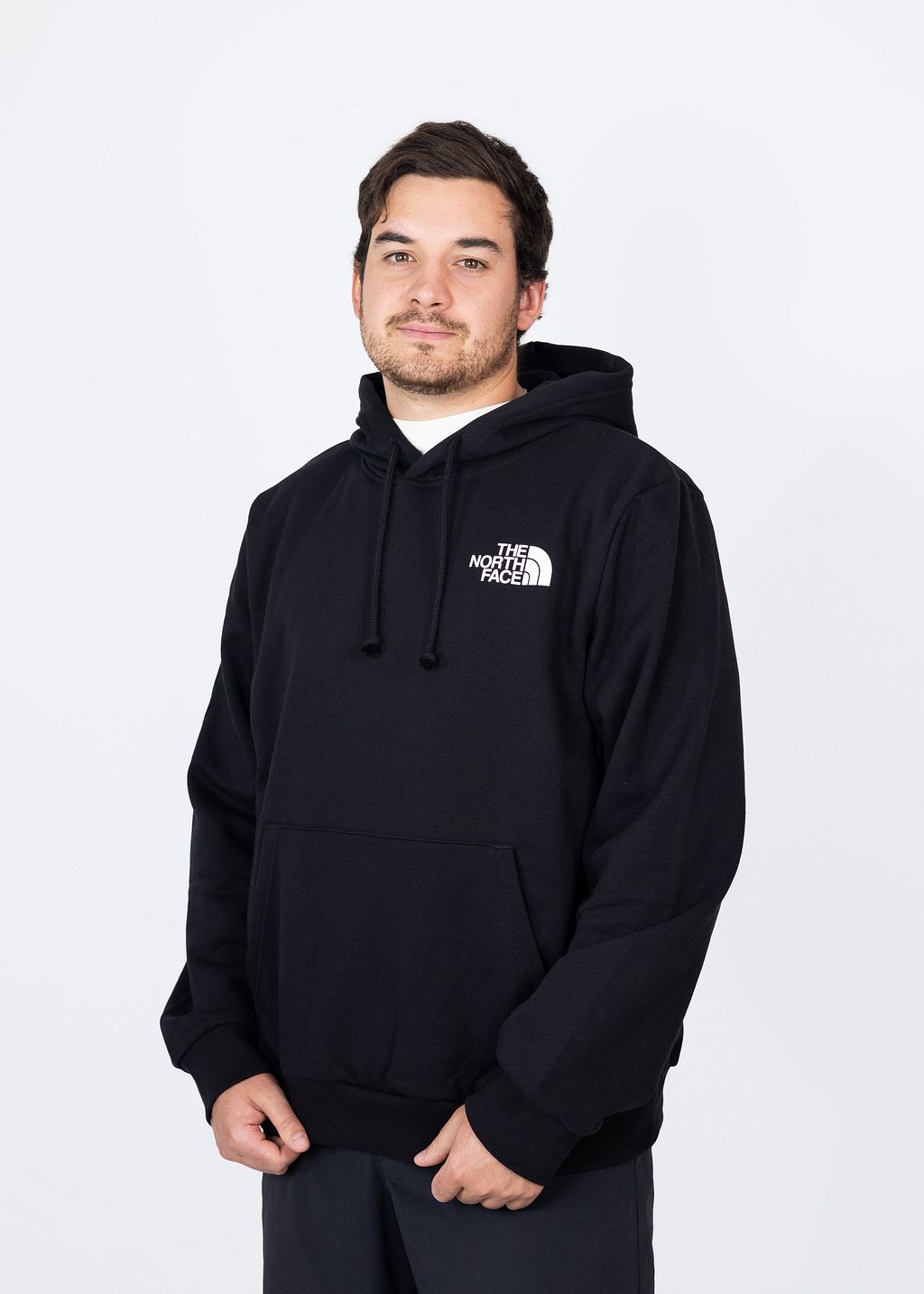 Poleron Evo Half Dome Mtn Hoodie- Graphic Hombre