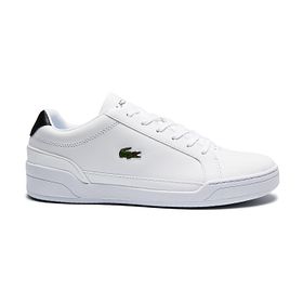 lacoste masters