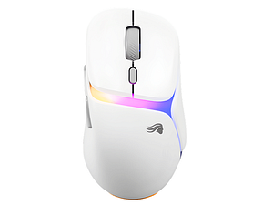 BenQ ZOWIE S2-DW White 4K Wireless Gaming Mouse