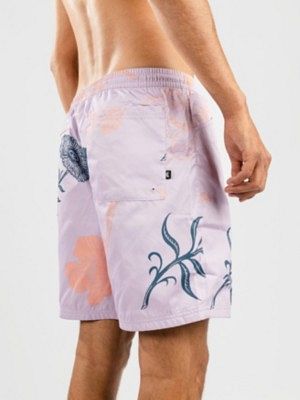 SB Novelty Skate Water Boardshorts