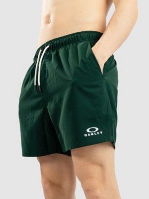 Clear Lake 16''Volley Boardshorts