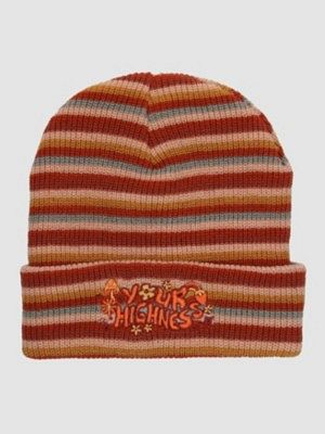 In The Groove Stripe Beanie