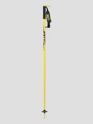 Pin 2024 Ski Poles