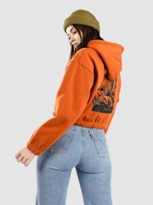 Western Hoodie