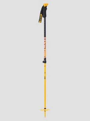 Vision Telescopic Poles