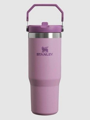 The Iceflow Flip Straw Tumbler Bottle