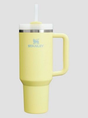 The Quencher H2.O FlowState Tumbler Bottle