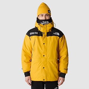 Parka gore top tex north face